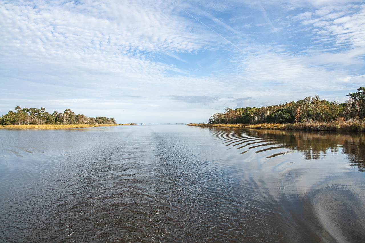 Icw_tobeaufort 04472