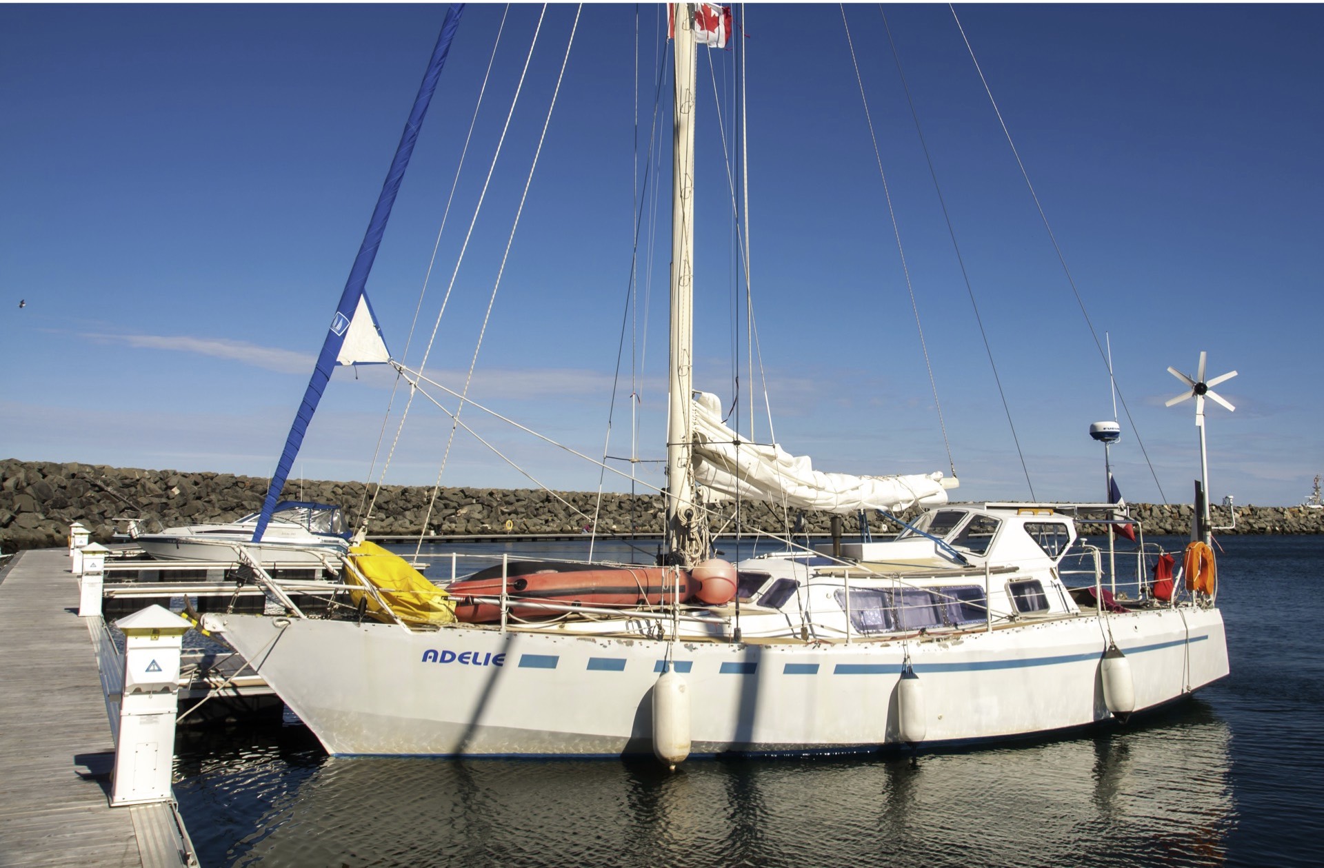 adelie 03515 1
