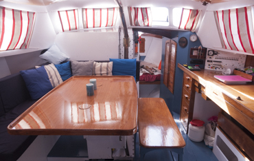 adelie_carré 01236