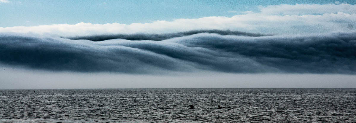 index_2019_brumes 03931