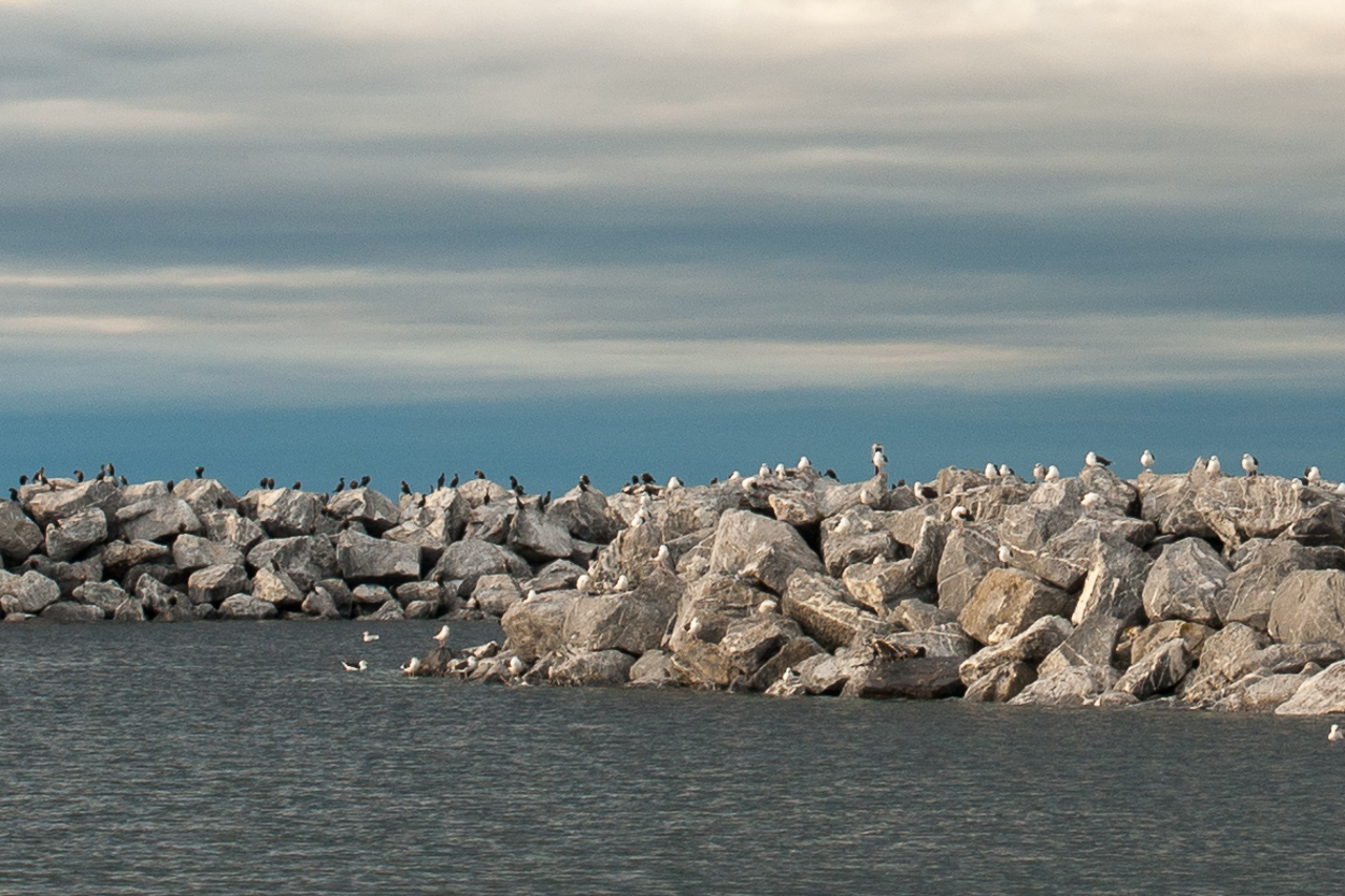 saintannedesmonts 03531