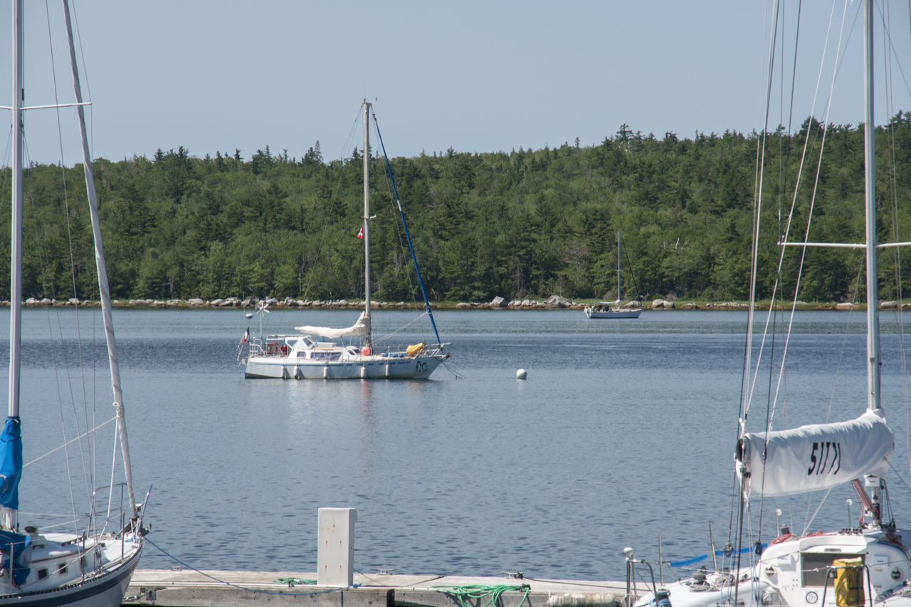 shelburne 03307