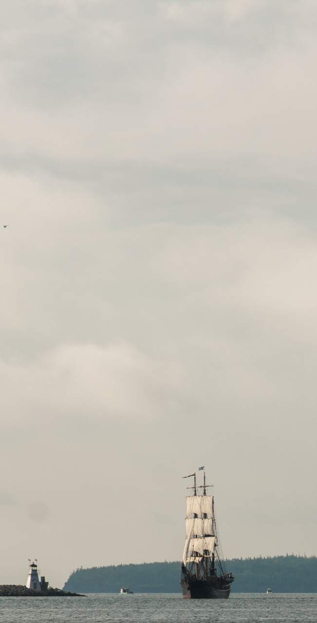 tall_ships_regatta 03343