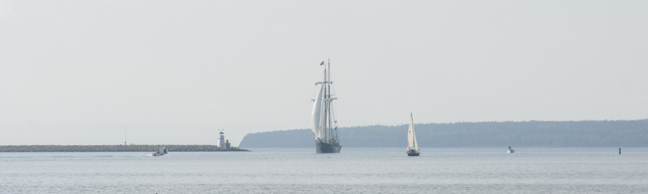 tall_ships_regatta 03367