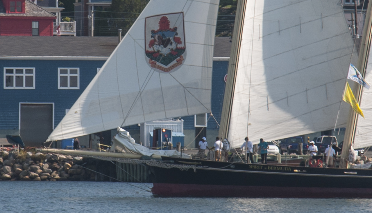 tall_ships_regatta 03388-2