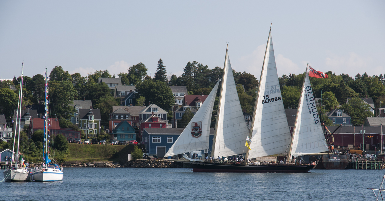 tall_ships_regatta 03388