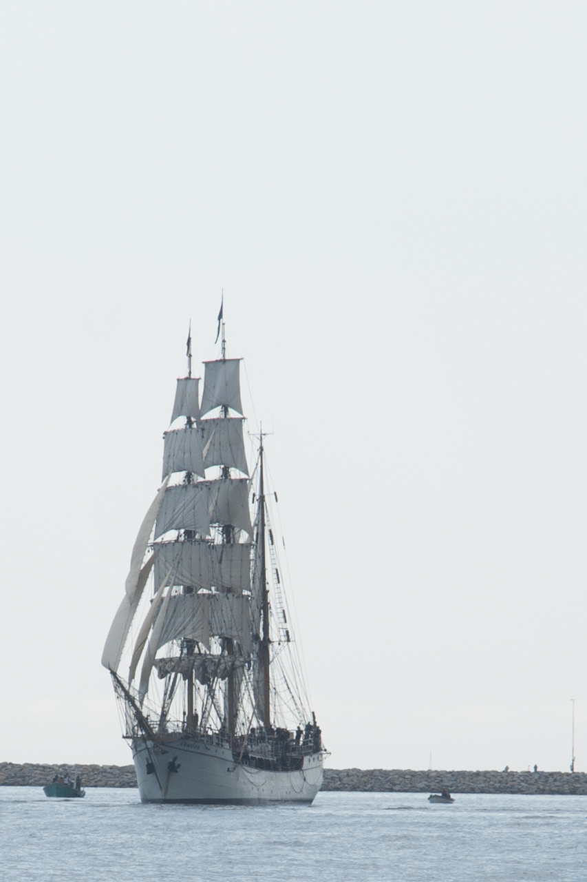 tall_ships_regatta 03398