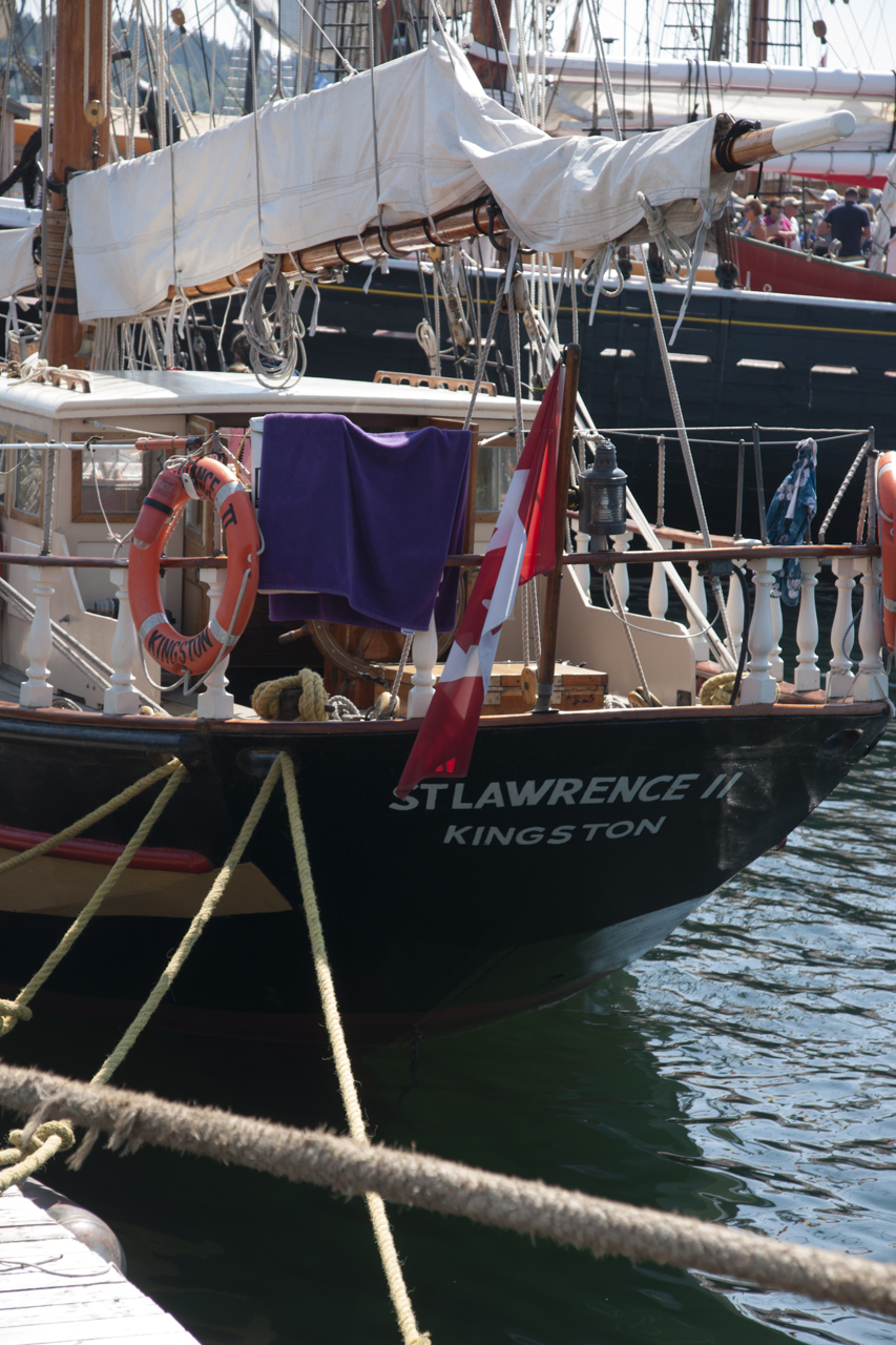tall_ships_regatta 03442