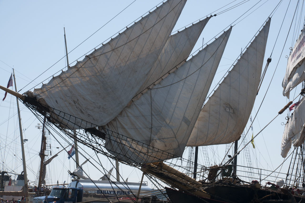 tall_ships_regatta 03445