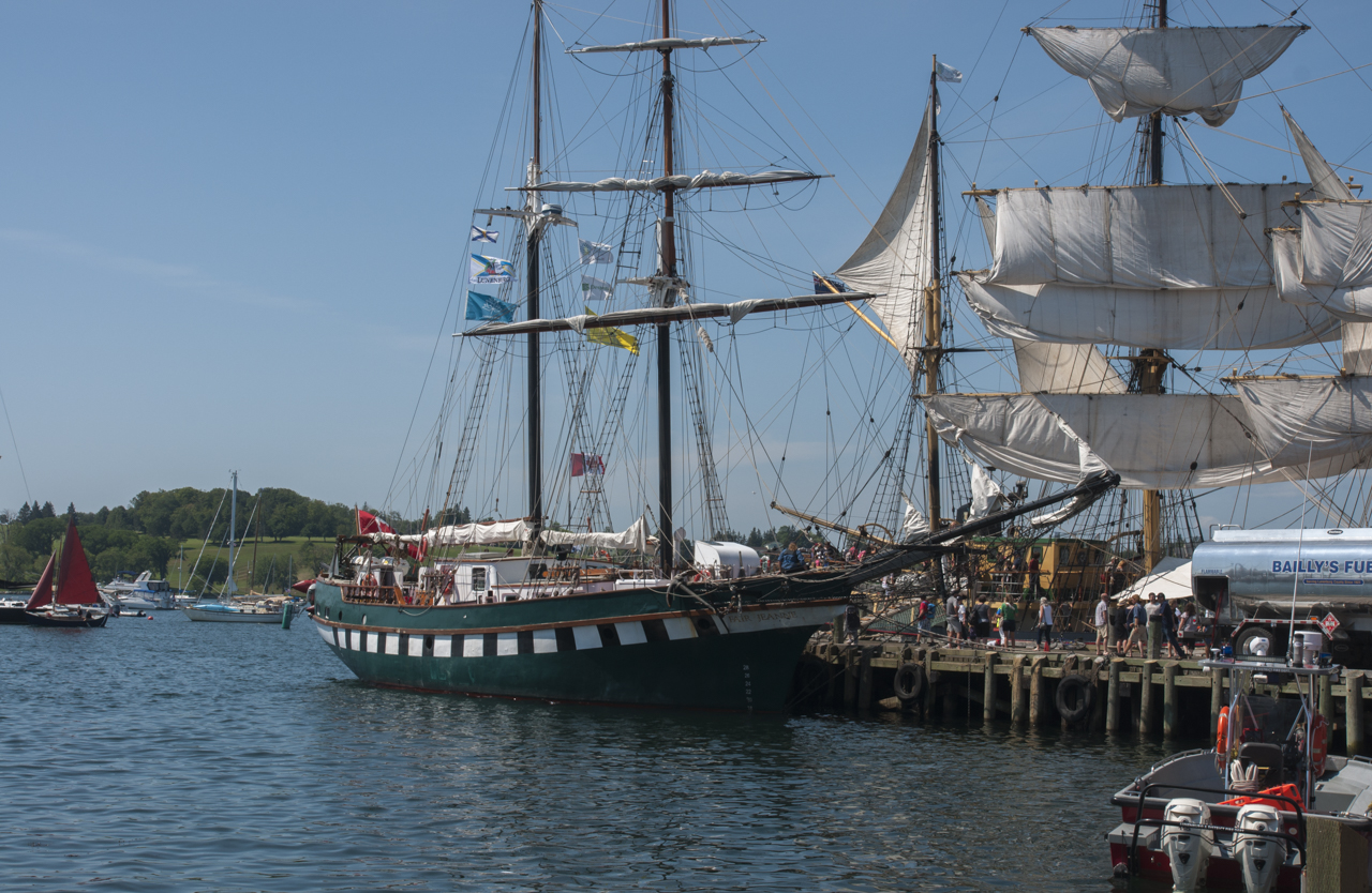 tall_ships_regatta 03447