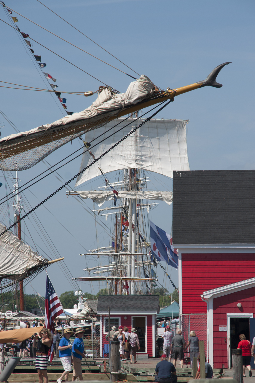 tall_ships_regatta 03451